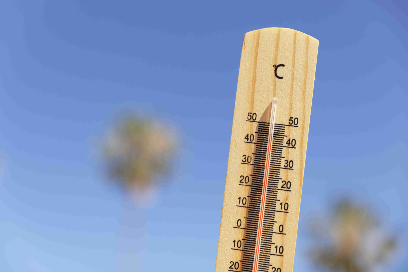 Klimawandel: Thermometer aus Holz